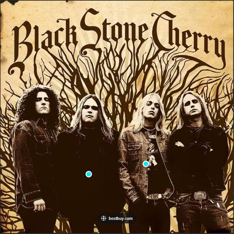 Black Stone Cherry