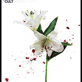 The Cult