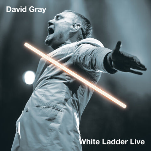 David Gray