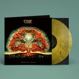 Cynic