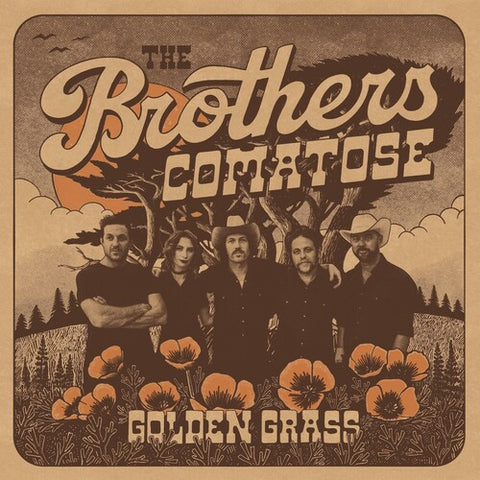 The Brothers Comatose