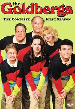 The Goldbergs: The Complete First Season