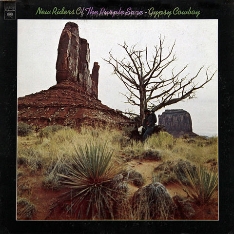 New Riders Of The Purple Sage