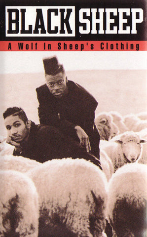 Black Sheep