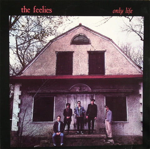 The Feelies