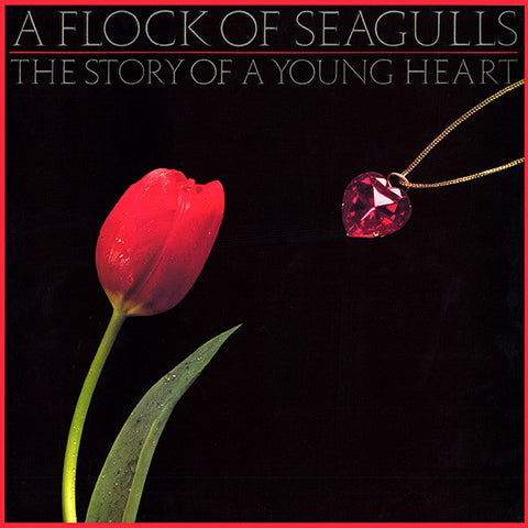 A Flock Of Seagulls