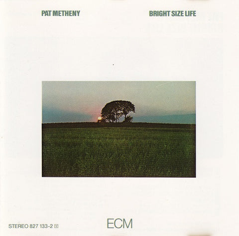 Pat Metheny
