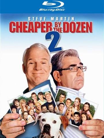 Cheaper by the Dozen 2