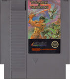 Wizards & Warriors