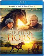 Orphan Horse