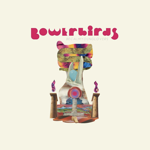 Bowerbirds