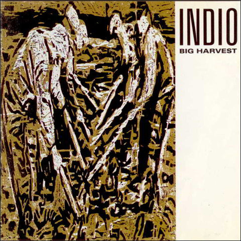 Indio
