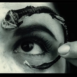 Mr. Bungle