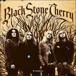 Black Stone Cherry