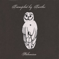 Trampled By Turtles