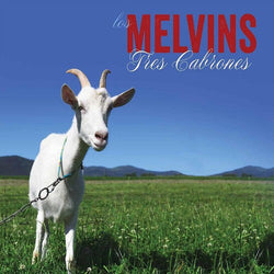 Melvins