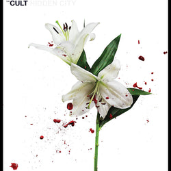 The Cult