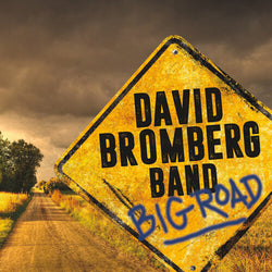 David Bromberg Band
