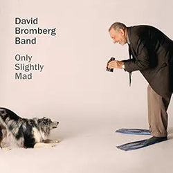 David Bromberg Band
