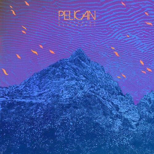 Pelican