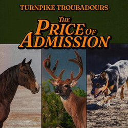 Turnpike Troubadours