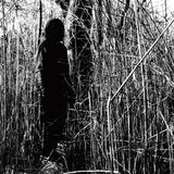 Billy Woods