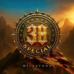.38 Special