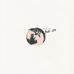 Black Lips
