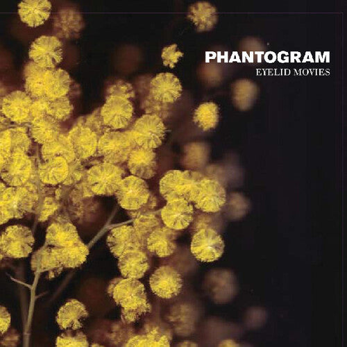 Phantogram