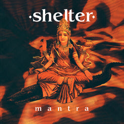 Shelter
