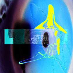 E L U C I D & Sebb Bash