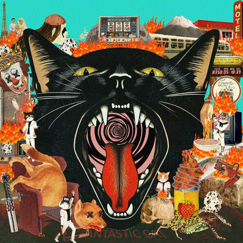 Fantastic Cat