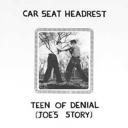 Car Seat Headrest