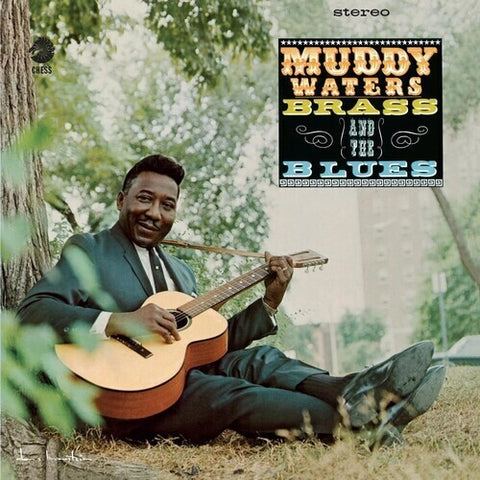 Muddy Waters