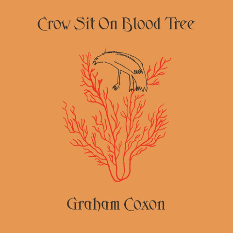 Graham Coxon