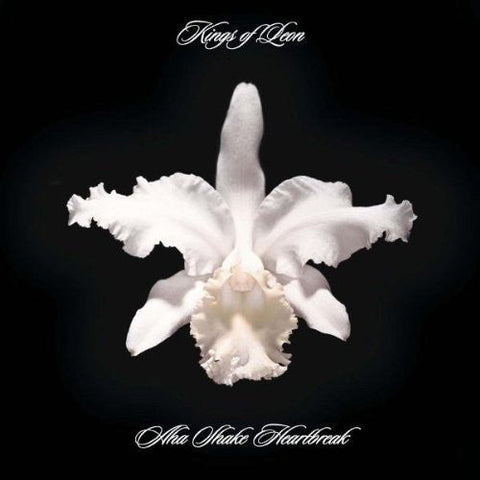 Kings Of Leon