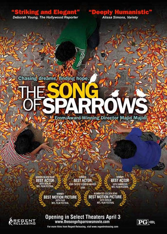 The Song Of Sparrows