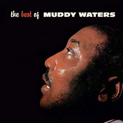 Muddy Waters