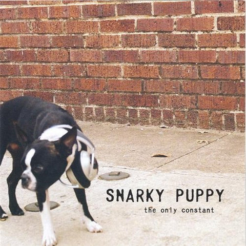 Snarky Puppy