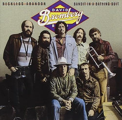 David Bromberg Band