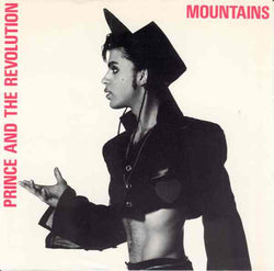 Prince And The Revolution