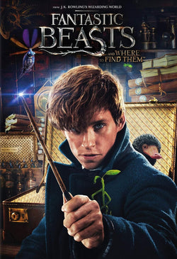 Fantastic Beasts and Where to Find Them