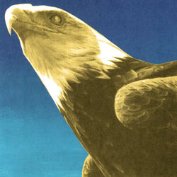 Protomartyr
