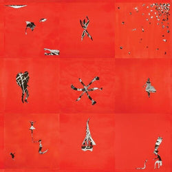 Animal Collective