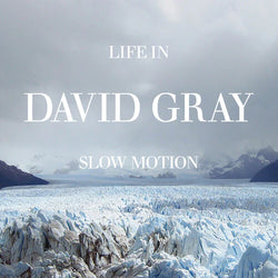 David Gray