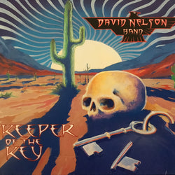 David Nelson Band