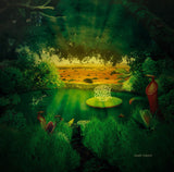 Green Desert Water