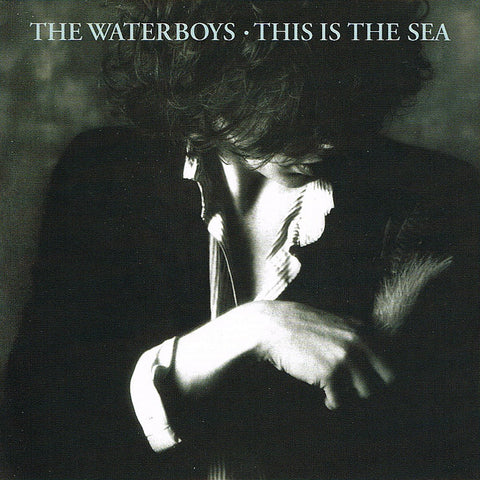 The Waterboys