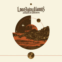 Low Flying Hawks