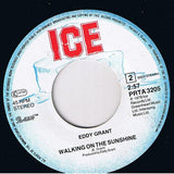 Eddy Grant